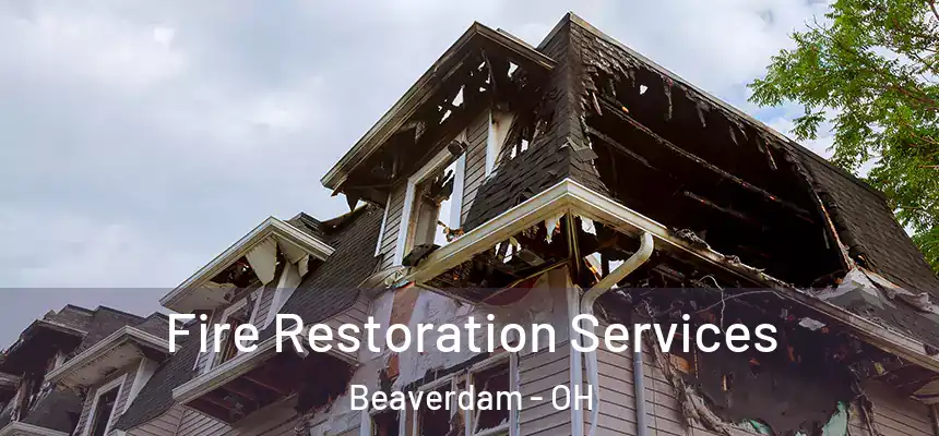  Fire Restoration Services Beaverdam - OH