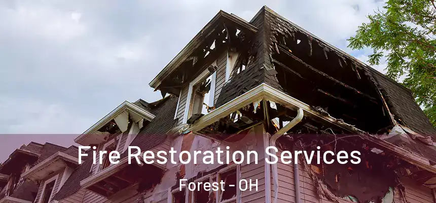 Fire Restoration Services Forest - OH