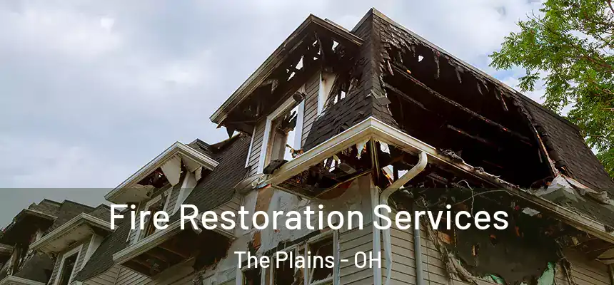 Fire Restoration Services The Plains - OH