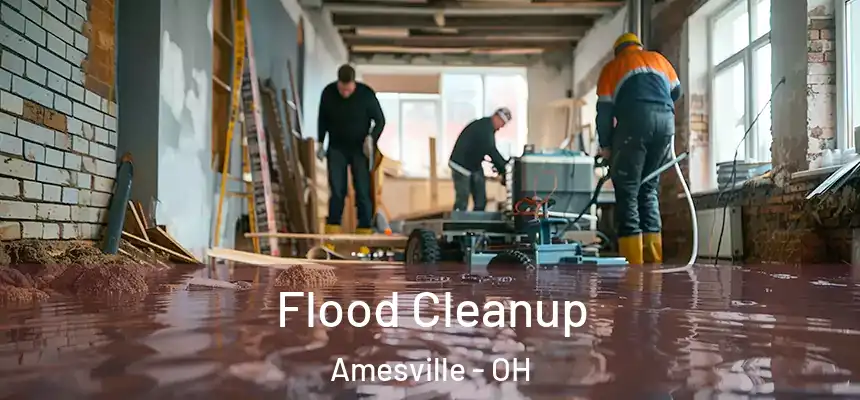 Flood Cleanup Amesville - OH