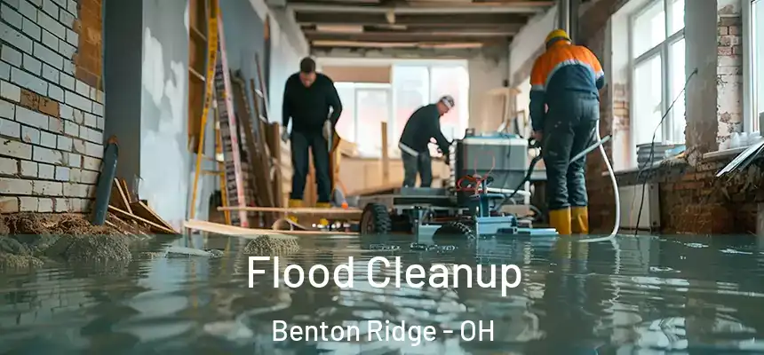  Flood Cleanup Benton Ridge - OH