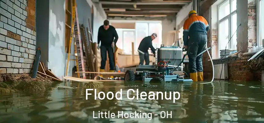  Flood Cleanup Little Hocking - OH