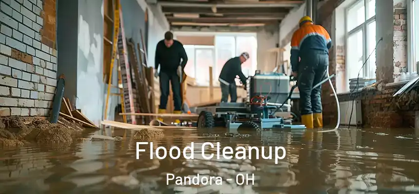 Flood Cleanup Pandora - OH