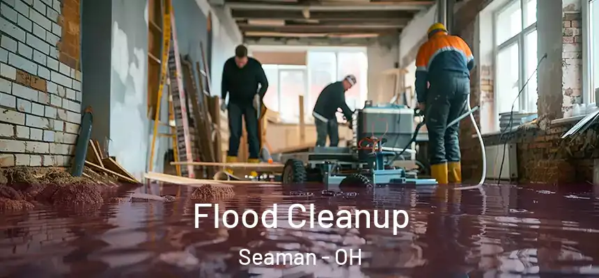 Flood Cleanup Seaman - OH