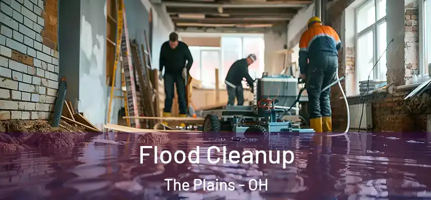 Flood Cleanup The Plains - OH