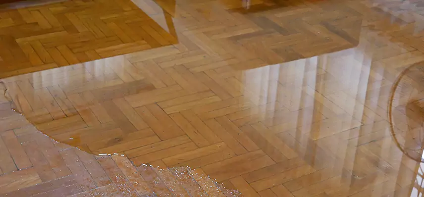 Laminate Wood Floor Water Damage Repair in Lima