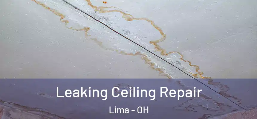 Leaking Ceiling Repair Lima - OH
