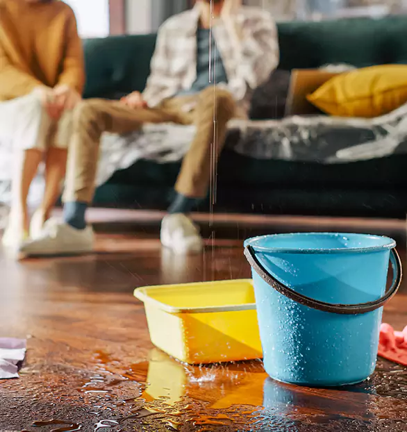 Reliable Water Mitigation Company in Lima, OH