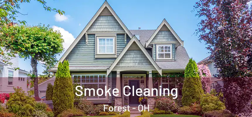 Smoke Cleaning Forest - OH