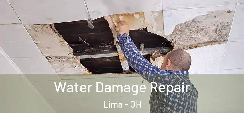 Water Damage Repair Lima - OH